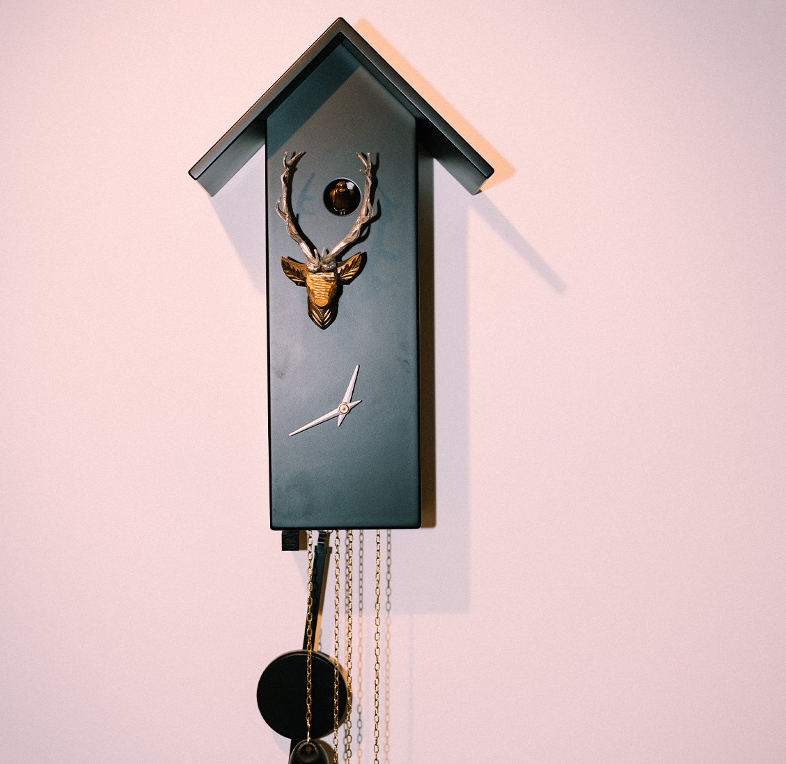 Kieferorthopädie Deggendorf – Moderne Kuckucksuhr mit Hirschkopf-Design in der ARTPRAXIS® Deggendorf – stilvolles Detail mit alpinem Charme im Praxisambiente.